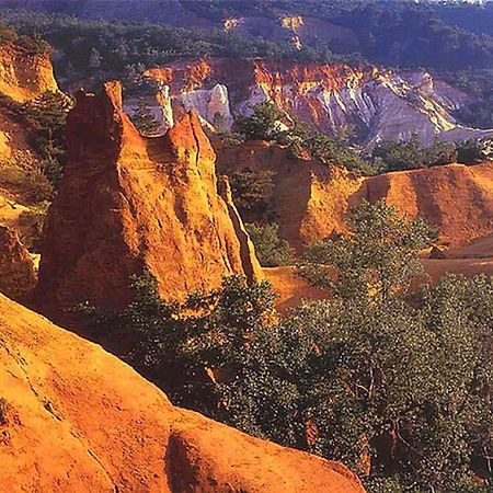 فيلا روستريلفي Chemin De Saint-Joseph المظهر الخارجي الصورة